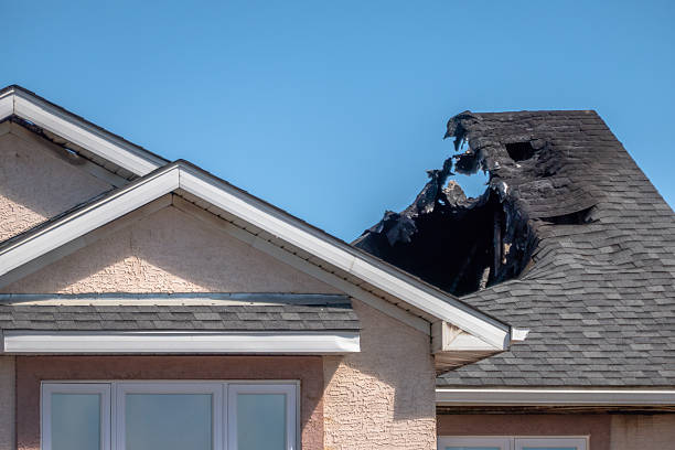 Top rated local Odor Removal specialists in New Egypt, NJ